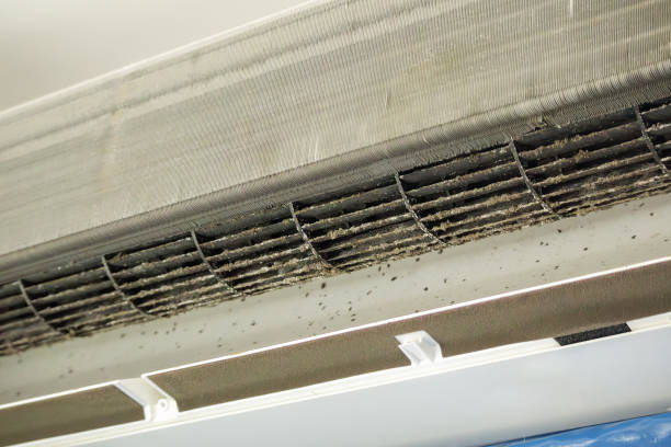 Best HVAC System Cleaning  in Tyndall Af, FL