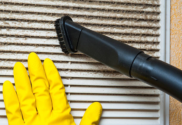 Best Air Vent Cleaning Services  in Tyndall Af, FL